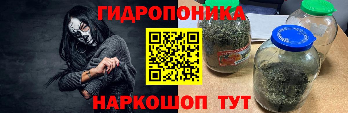 Чайковский  Каннабис план  Каннабис тримм  Канабис Amnesia  Вход с VPN 